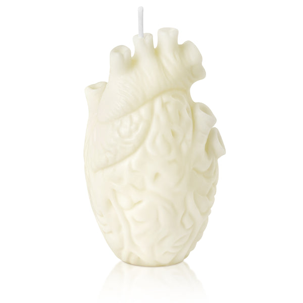 Zainpe Anatomical Heart Shaped Candle Gift Pine Fragrance Natural Soy Wax Handmade Aromatherapy Candle Home Aesthetic Decor Desk Decoration for House Bedroom Party Supplies Milky 2.4 x 4.1 inches